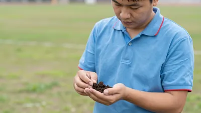Celta Vigo requests delay of Osasuna match due to fungus on Balaídos pitch